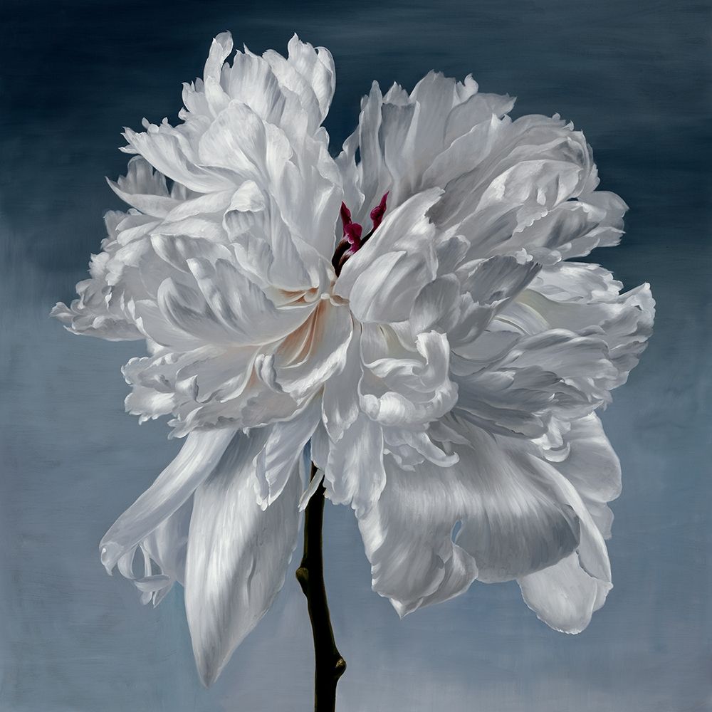 Blomst art print by Urban Road for $57.95 CAD