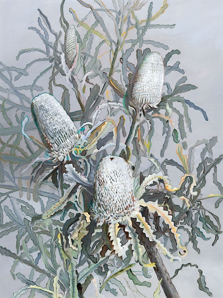 Banksia art print by Urban Road for $57.95 CAD