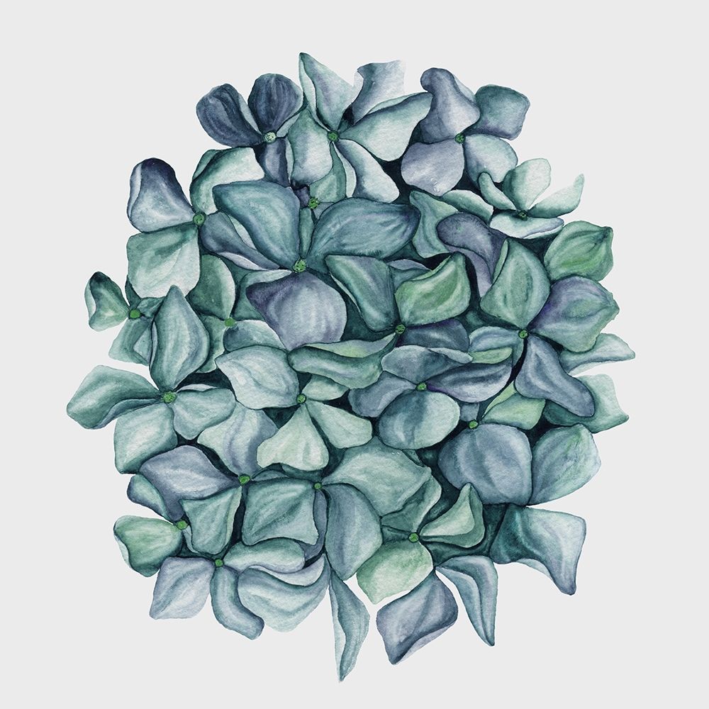 Hydrangea Poster art print by Urban Road for $57.95 CAD