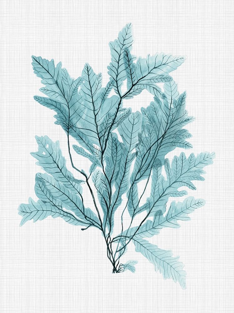 Aruba Turquoise Poster art print by Urban Road for $57.95 CAD