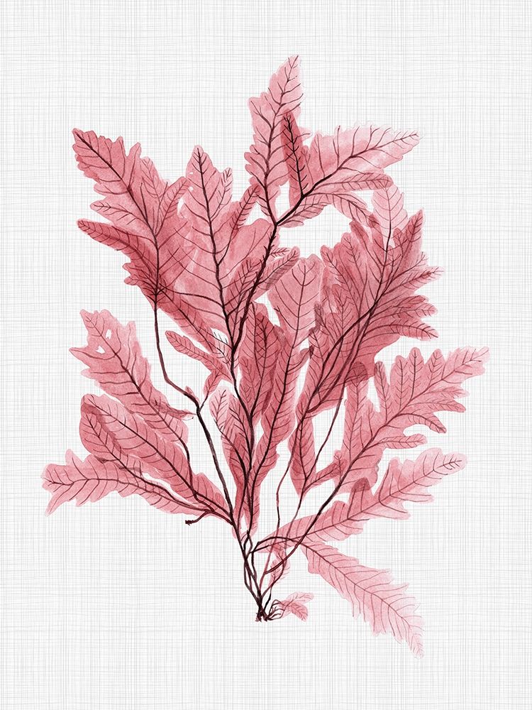 Aruba Blush Poster art print by Urban Road for $57.95 CAD