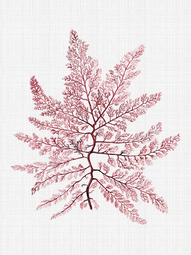 Bermuda Blush Poster art print by Urban Road for $57.95 CAD