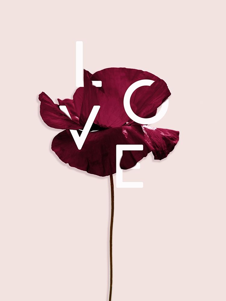 Poppy Poster art print by Urban Road for $57.95 CAD