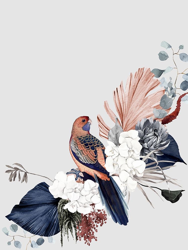 Blushing Rosella Poster art print by Urban Road for $57.95 CAD