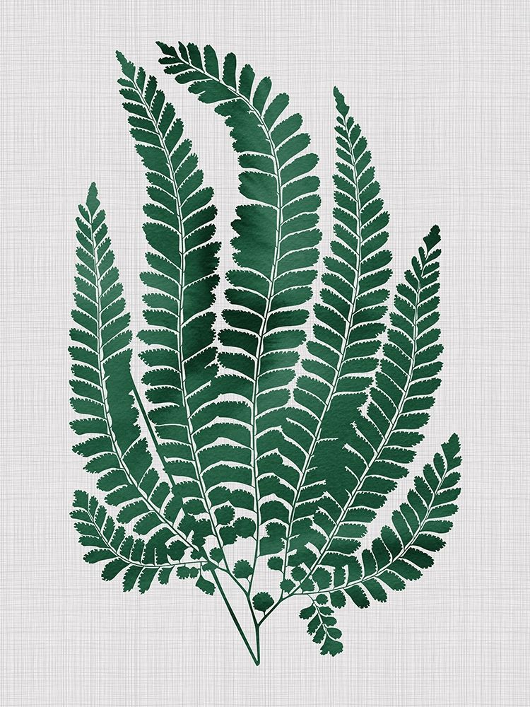 Maple Green Poster art print by Urban Road for $57.95 CAD