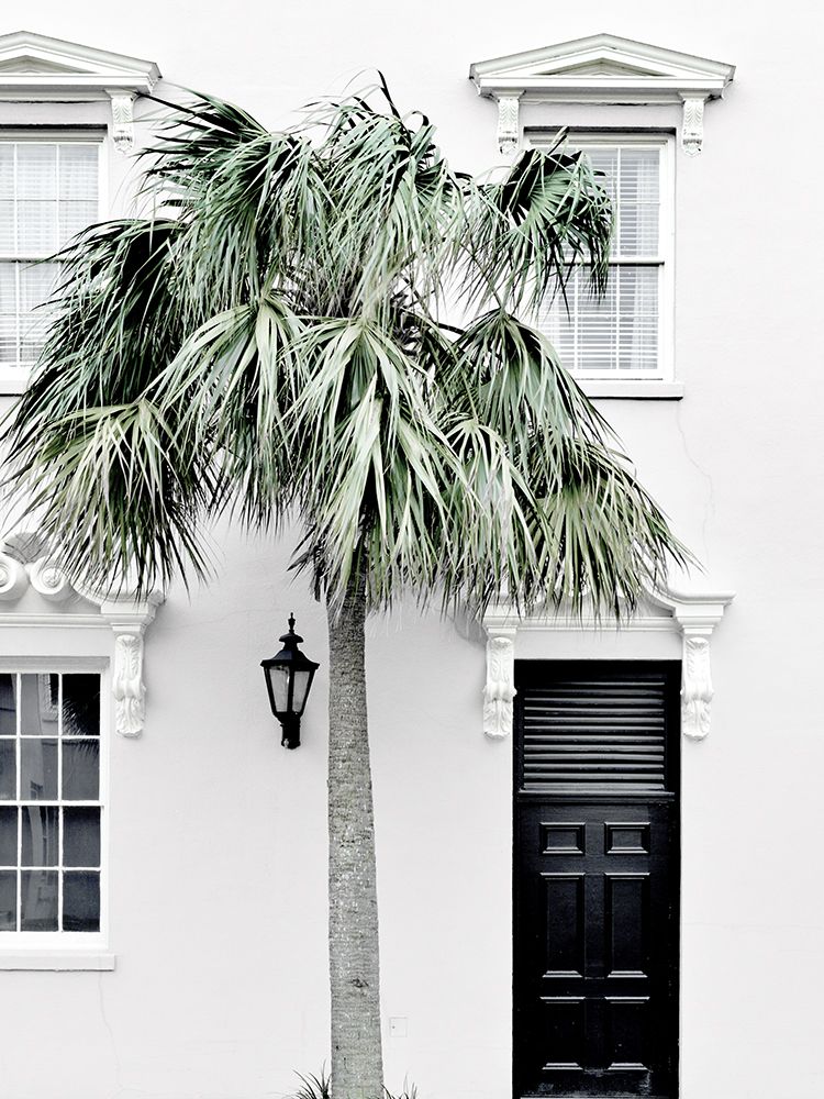 Palm Street Canvas Art Print art print by Urban Road for $57.95 CAD