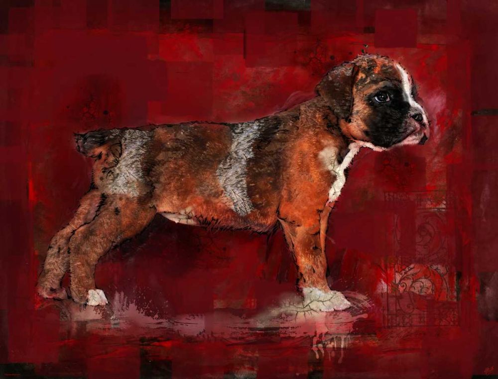 Boxer Pup art print by Marta Wiley for $57.95 CAD