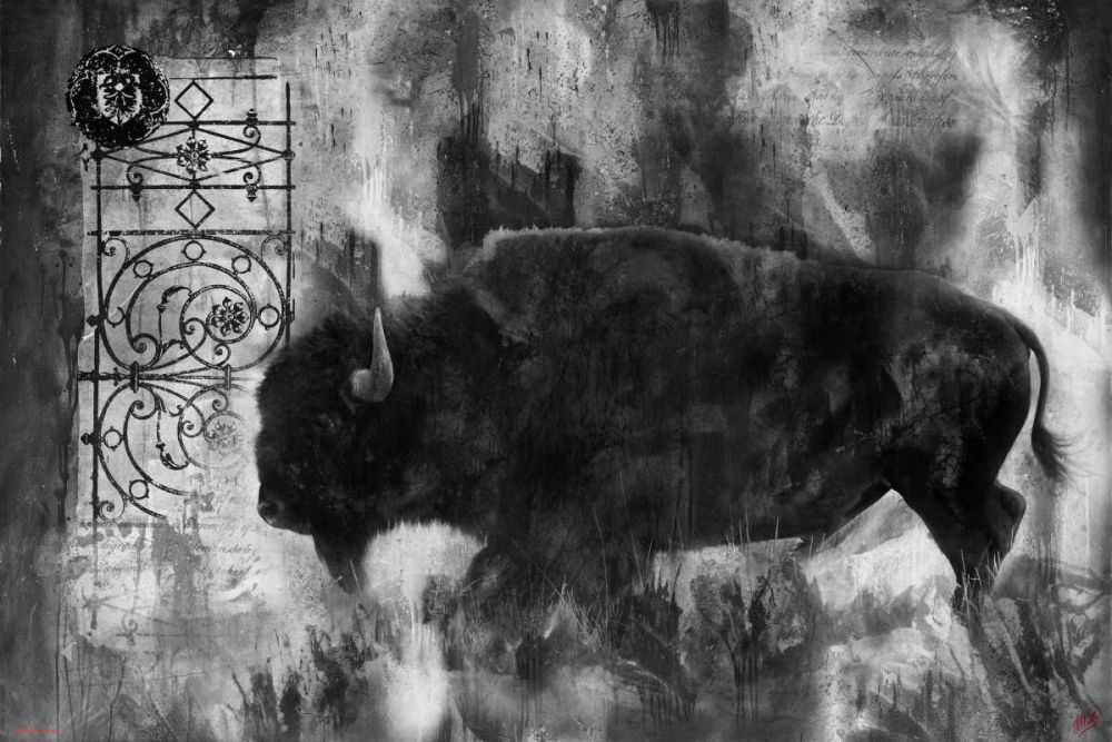 Buffalo BandW art print by Marta Wiley for $57.95 CAD