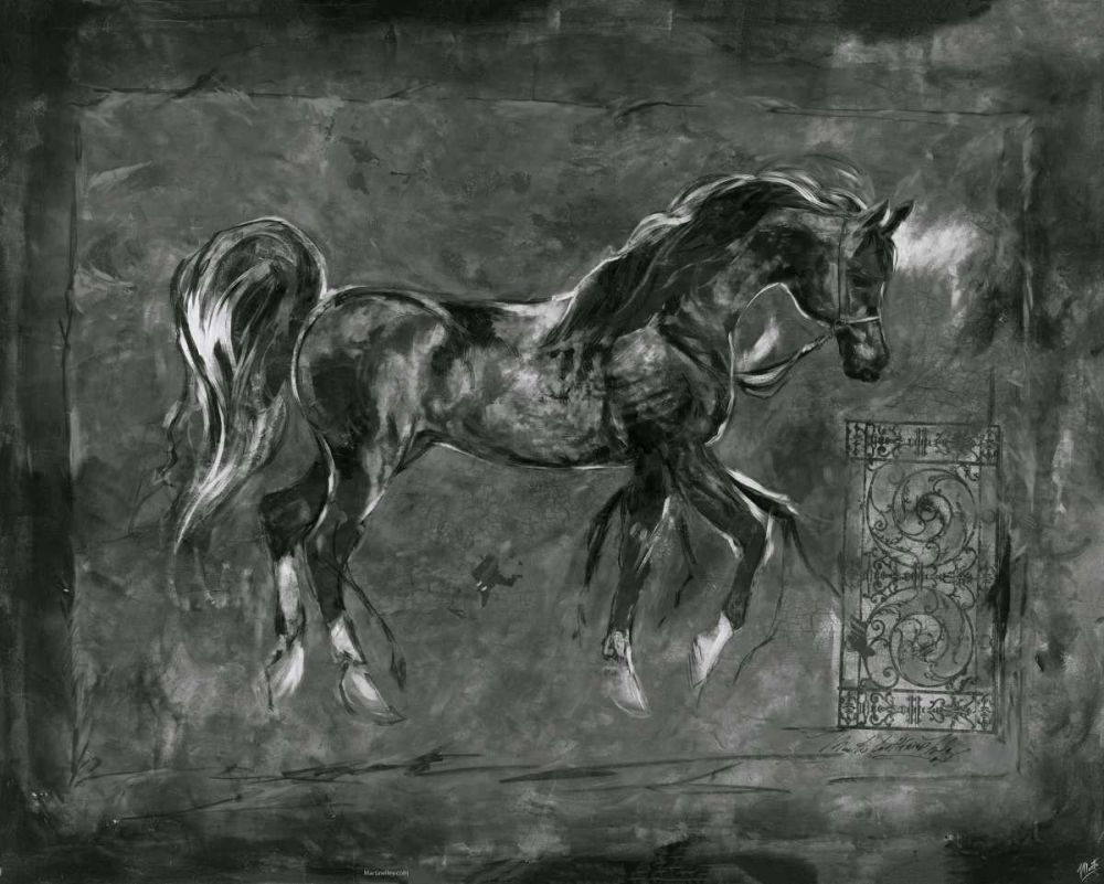 BandW Horse art print by Marta Wiley for $57.95 CAD