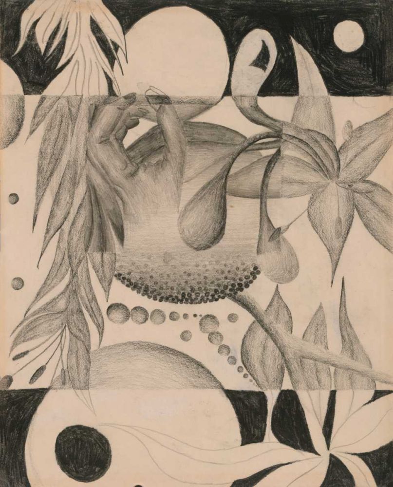 Pencil art print by Marta Wiley for $57.95 CAD