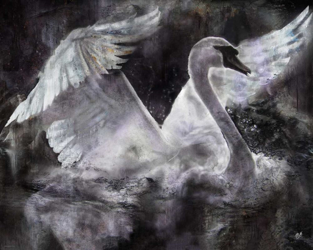 Swan I art print by Marta Wiley for $57.95 CAD