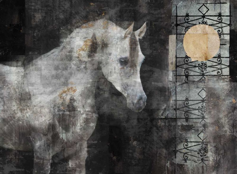 Horse in the sun art print by Marta Wiley for $57.95 CAD