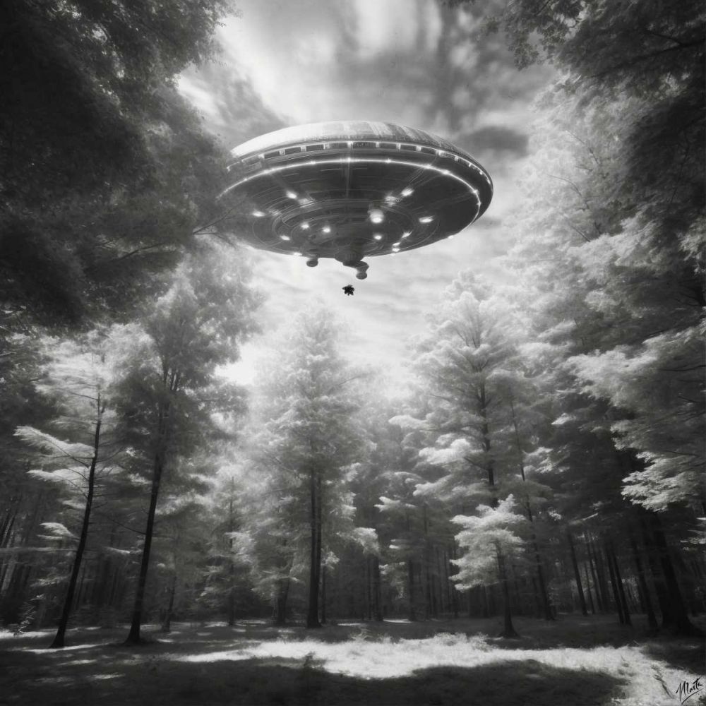 Infrared UFO I art print by Marta Wiley for $57.95 CAD
