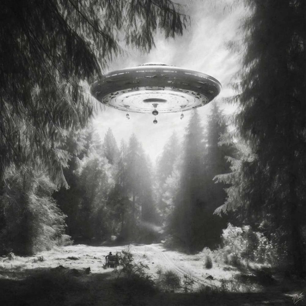 Infrared UFO II art print by Marta Wiley for $57.95 CAD