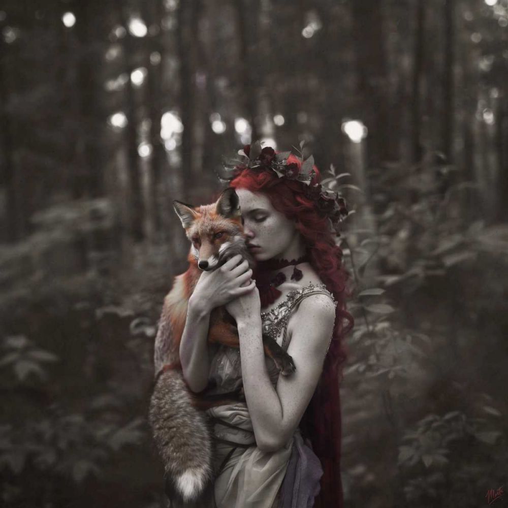 Enchanted I art print by Marta Wiley for $57.95 CAD