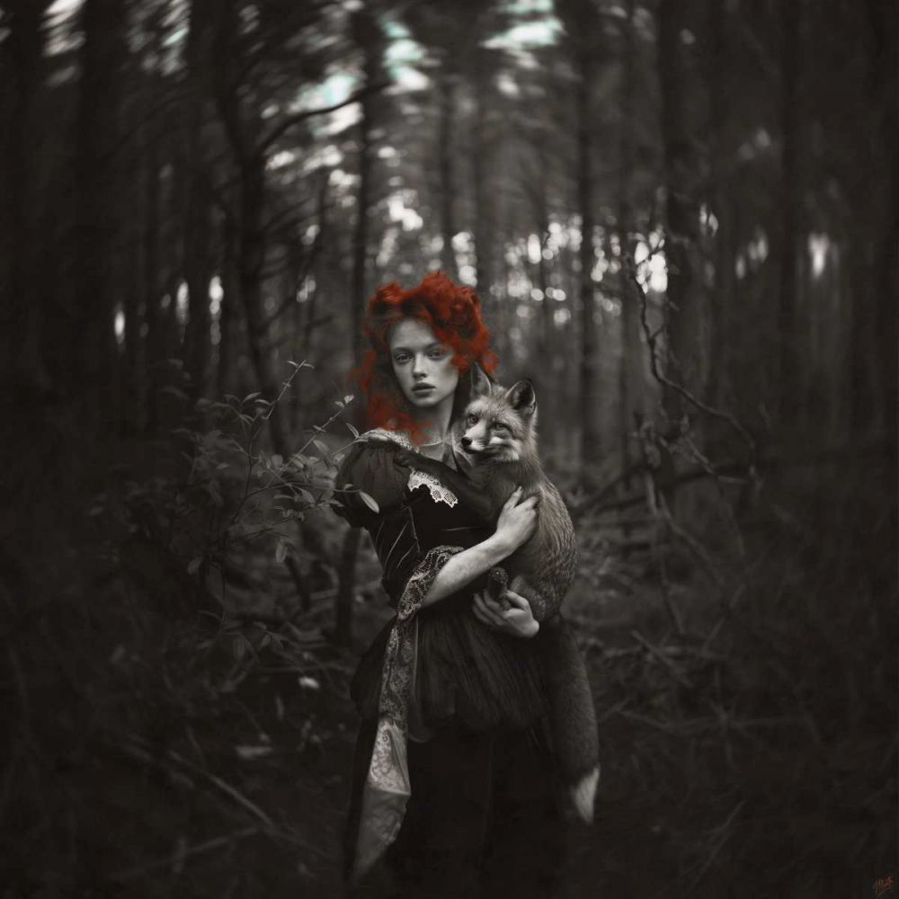 Enchanted II art print by Marta Wiley for $57.95 CAD