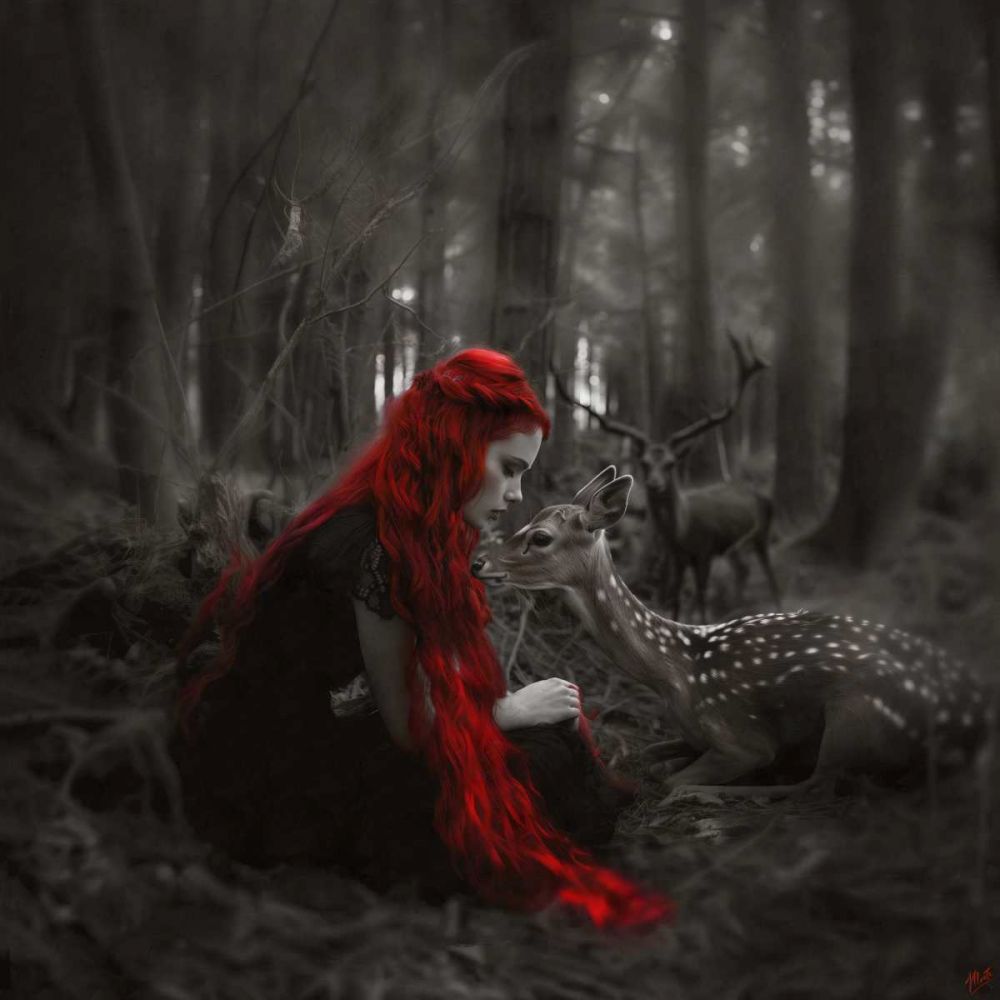 Enchanted V art print by Marta Wiley for $57.95 CAD