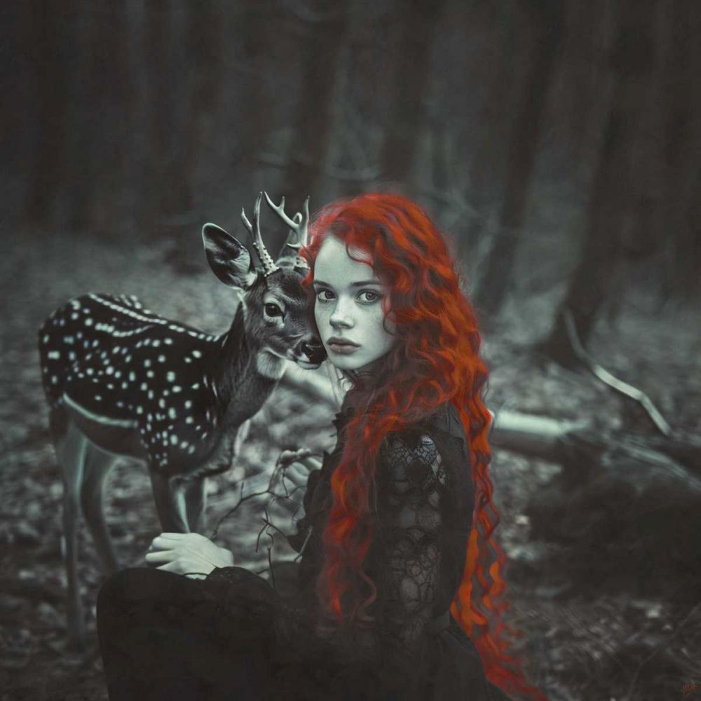 Enchanted VI art print by Marta Wiley for $57.95 CAD
