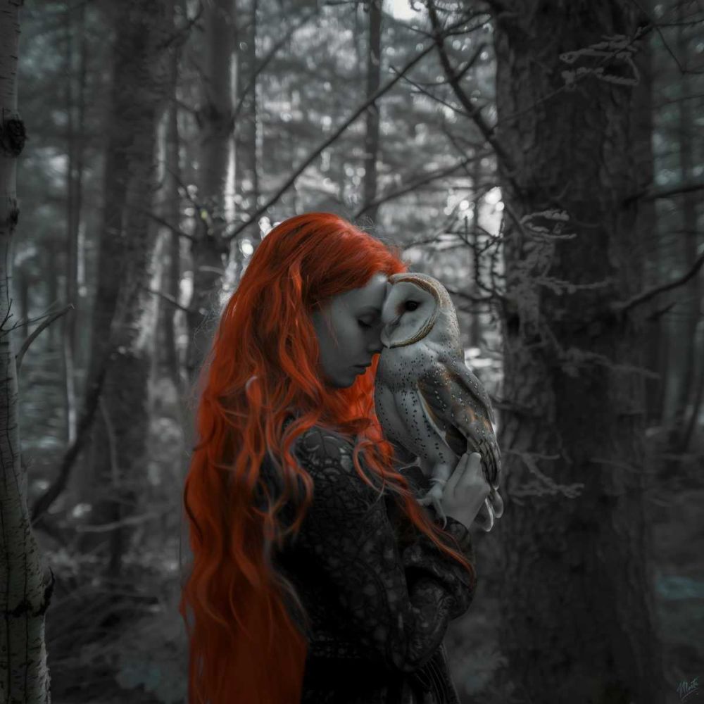 Enchanted VII art print by Marta Wiley for $57.95 CAD