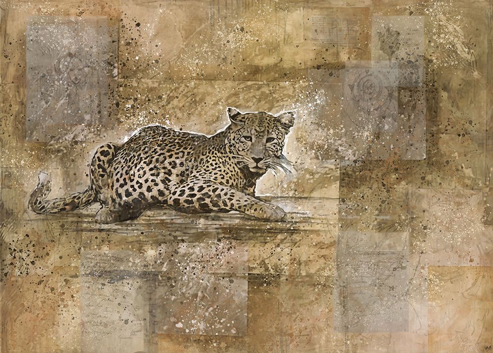 Lepard I art print by Marta Wiley for $57.95 CAD