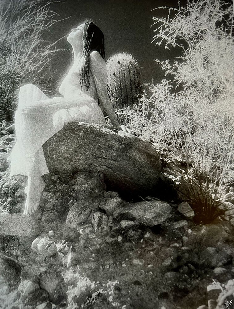 Infrared Moment 1990 art print by Marta Wiley for $57.95 CAD