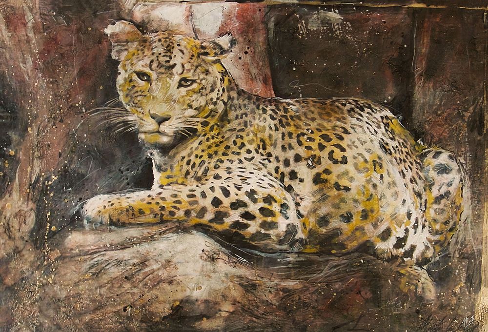 Leopard art print by Marta Wiley for $57.95 CAD