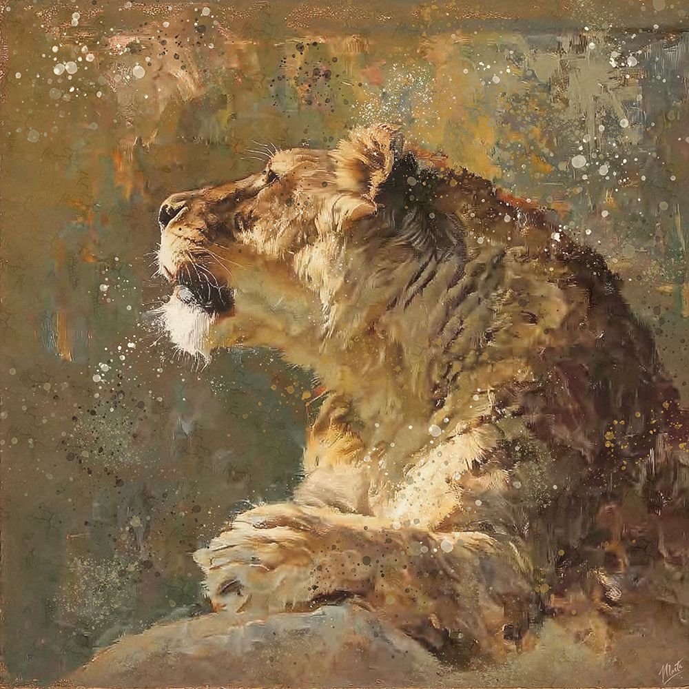 Lion II art print by Marta Wiley for $57.95 CAD