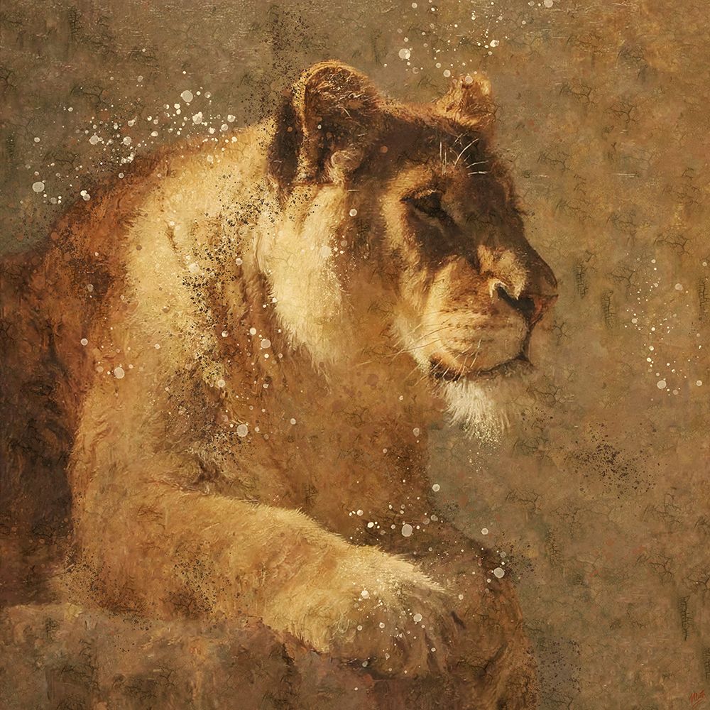 Lion III art print by Marta Wiley for $57.95 CAD
