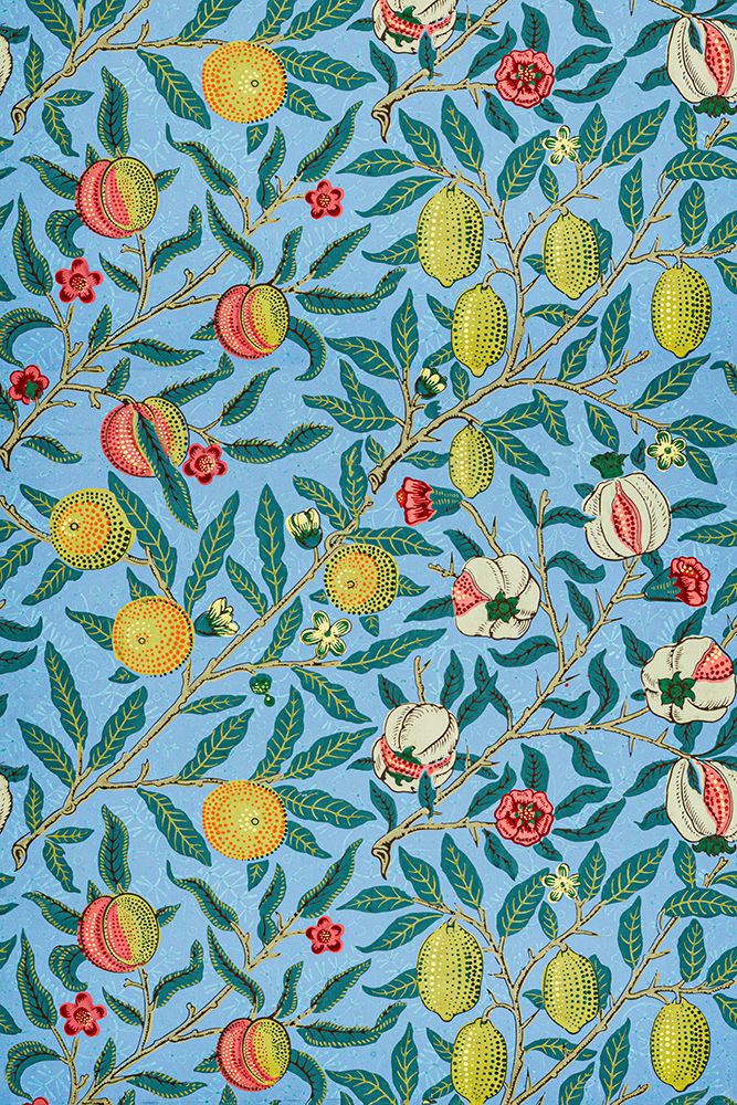 Four Fruits 1862 art print by William Morris for $57.95 CAD