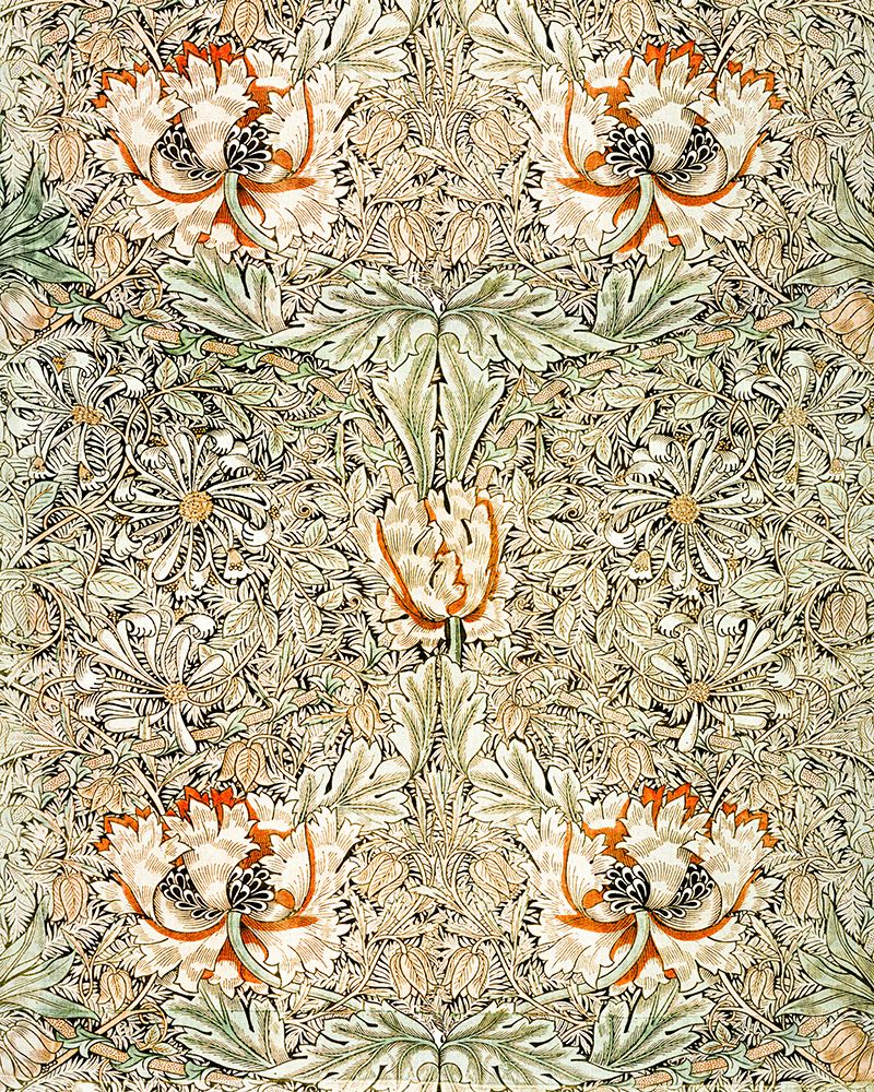 Honeysuckle 1876 art print by William Morris for $57.95 CAD