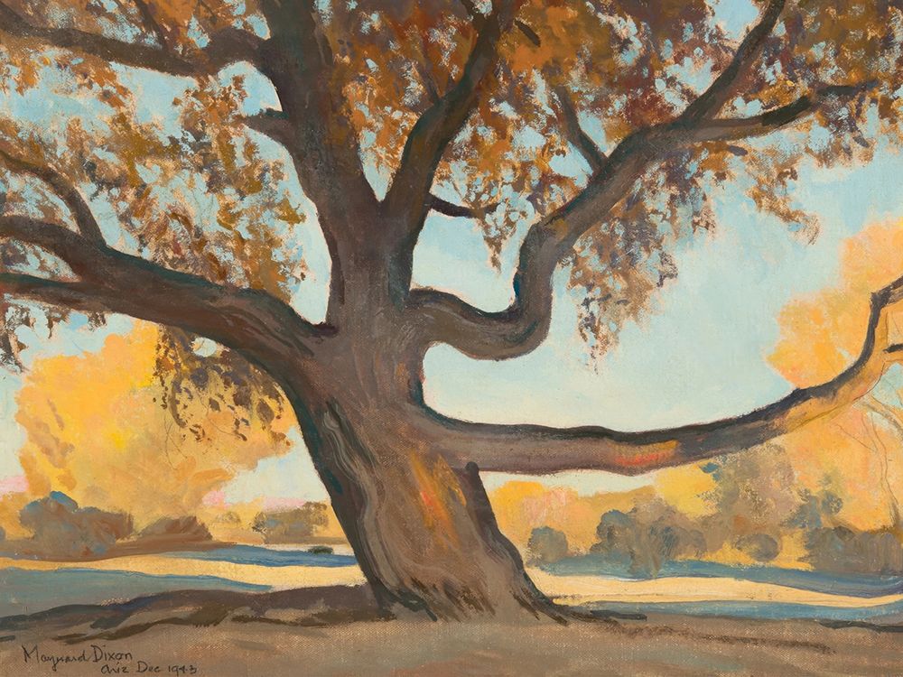 Old Tree 1943 art print by Maynard Dixon for $57.95 CAD