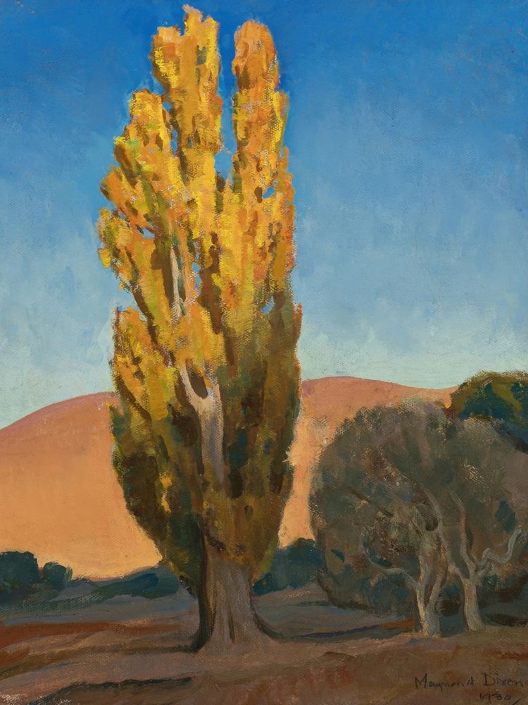Shifting Light on a Poplar 1930 art print by Maynard Dixon for $57.95 CAD