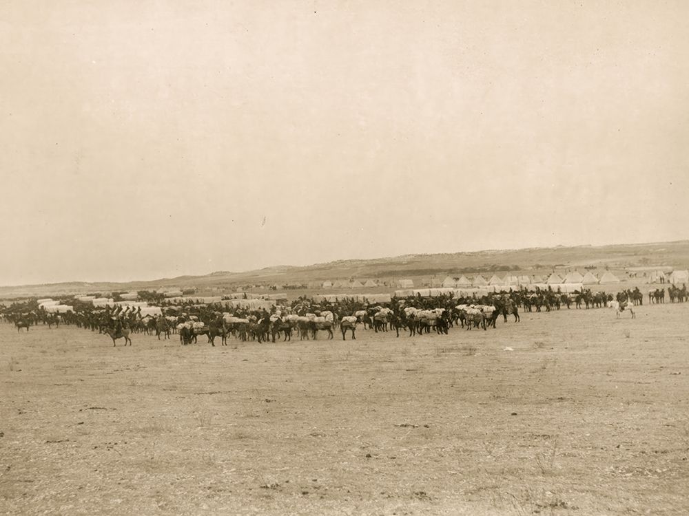 Wagons & Pack Mules art print by John C.H. Grabill for $57.95 CAD