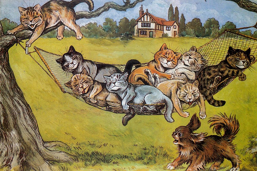 Postcard, Cat Nap 1904 art print by Louis Wain for $57.95 CAD