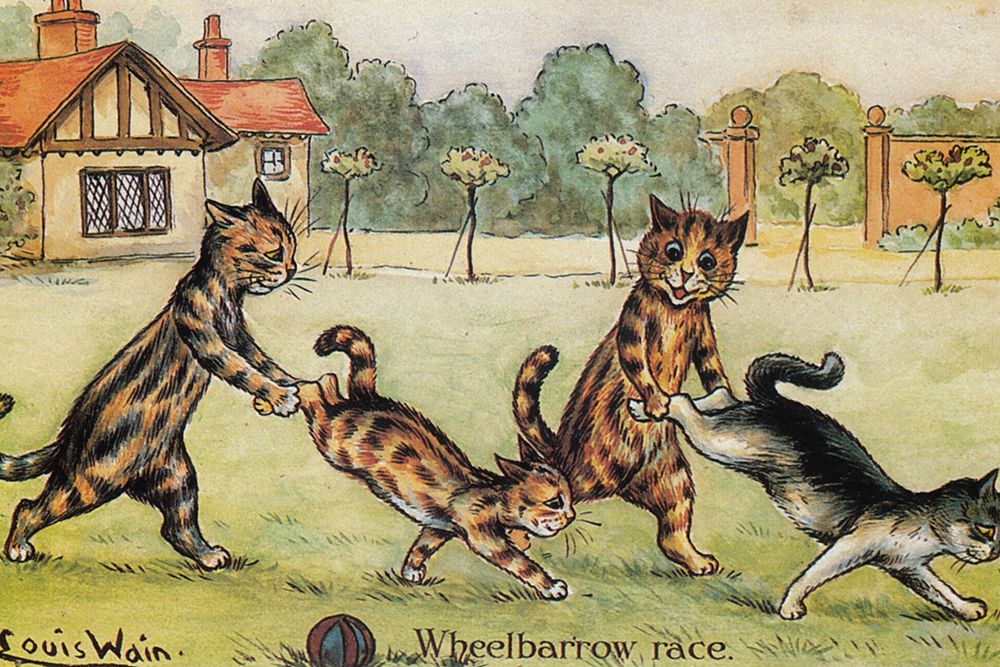 Postcard, The Wheelbarrow Race 1904 art print by Louis Wain for $57.95 CAD