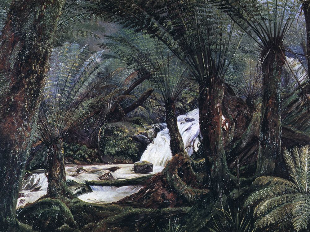 A Natural Fernery in Victoria art print by Marianne North for $57.95 CAD