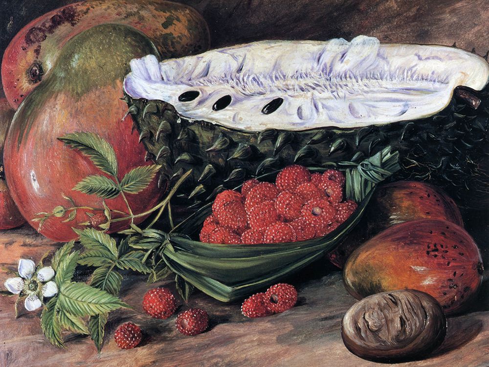 A Study of Fruit Grown in the Seychelles art print by Marianne North for $57.95 CAD