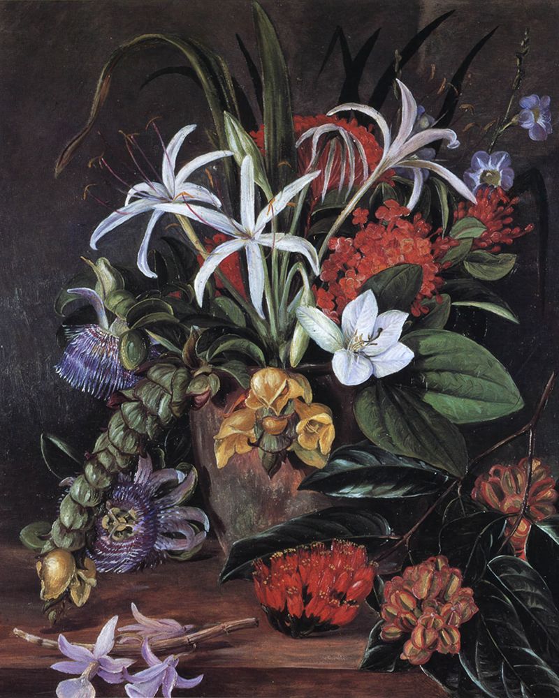 Cultivated Flowers art print by Marianne North for $57.95 CAD