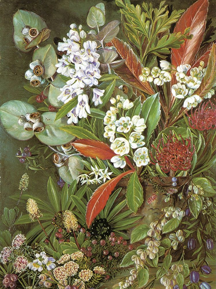 Flowers from Mount Wellington, Tasmania art print by Marianne North for $57.95 CAD
