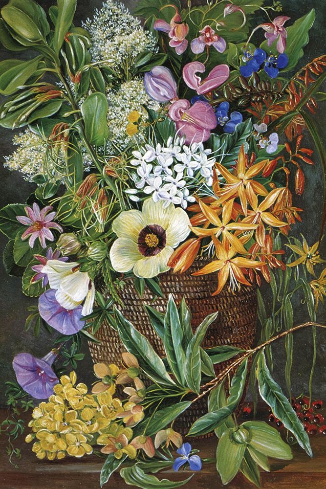 Flowers of St Johns art print by Marianne North for $57.95 CAD