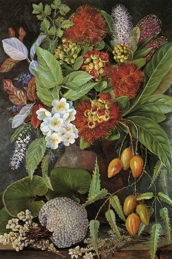 New Zealand Flowers and Fruit art print by Marianne North for $57.95 CAD