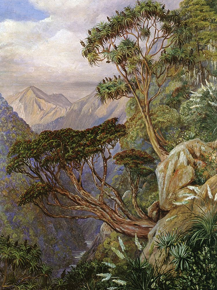 Otira Gorge, New Zealand art print by Marianne North for $57.95 CAD
