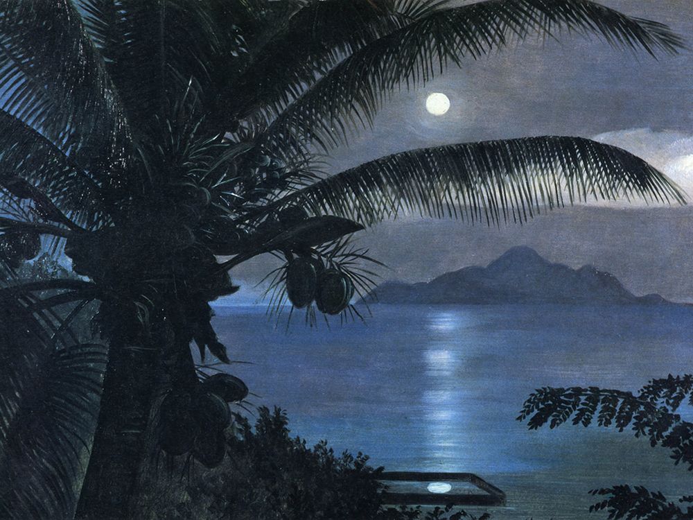 St Annes Island, Mahe, Seychelles art print by Marianne North for $57.95 CAD