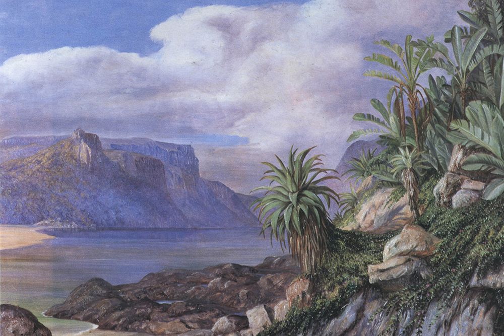 St Johns River, Kaffraria art print by Marianne North for $57.95 CAD