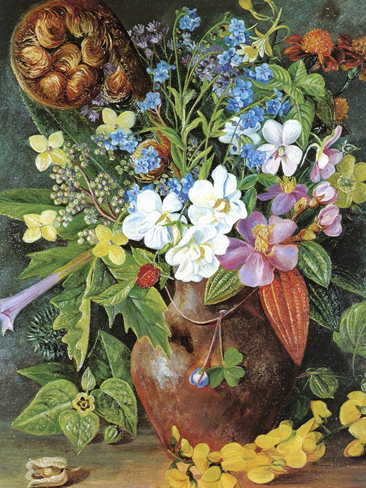 Vase of Wild Flowers of Java from Tosari art print by Marianne North for $57.95 CAD