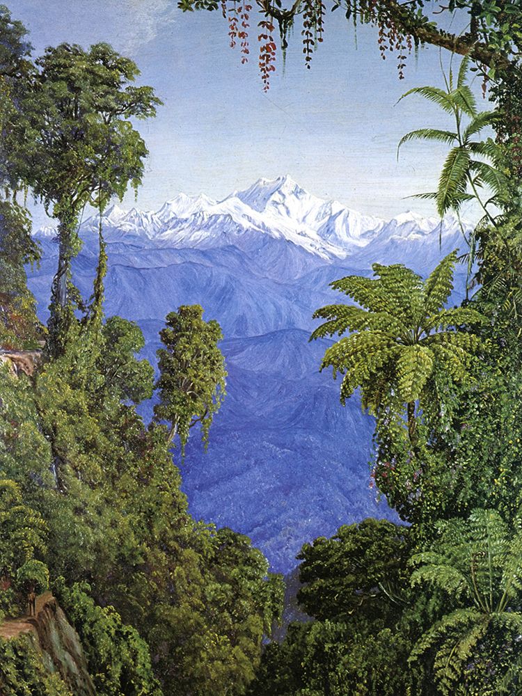 View of Mount Kinchinjunga, India art print by Marianne North for $57.95 CAD
