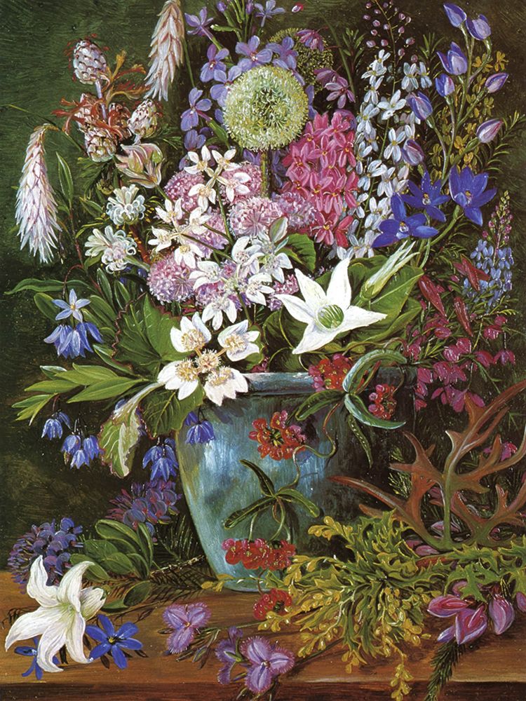 Wild Flowers of Albany, West Australia art print by Marianne North for $57.95 CAD
