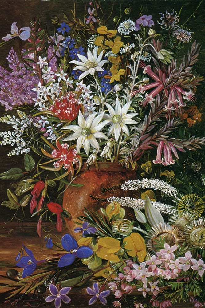 Wild Flowers of the Blue Mountains, New South Wales art print by Marianne North for $57.95 CAD