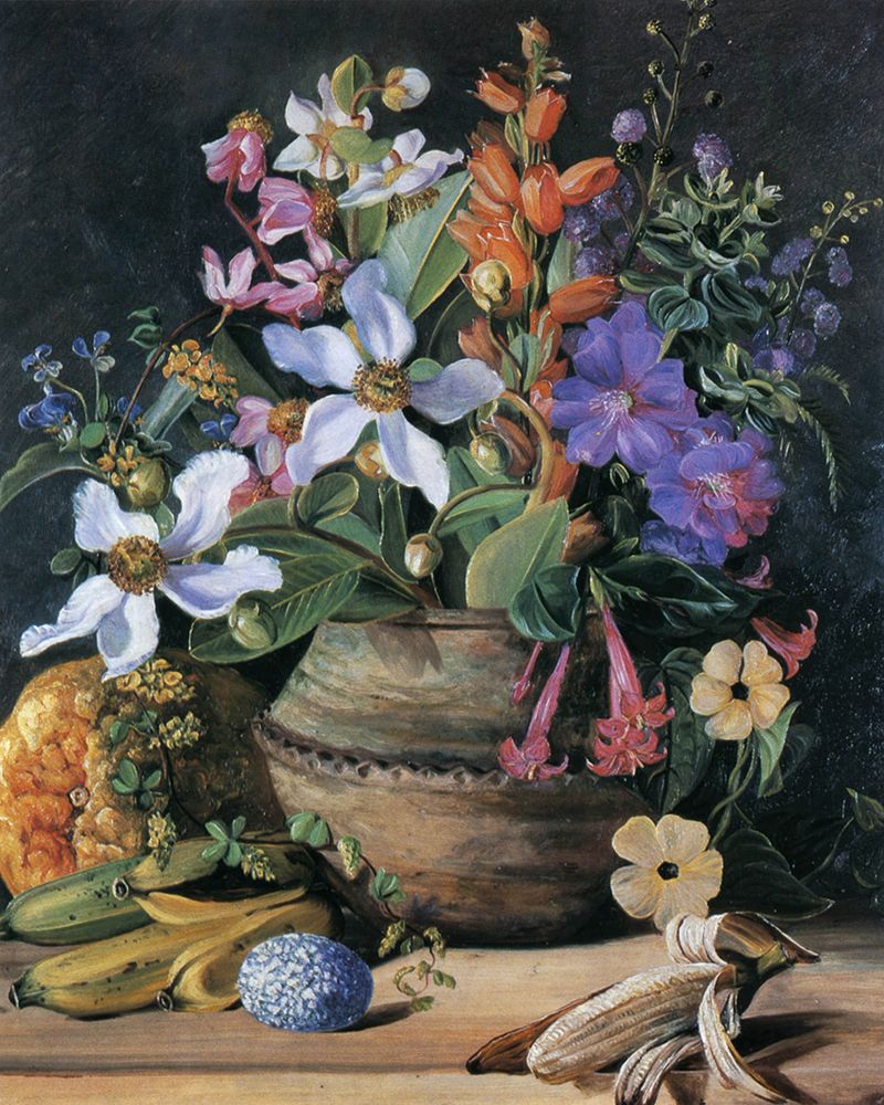 Wild Meadow Flowers of Brazil art print by Marianne North for $57.95 CAD