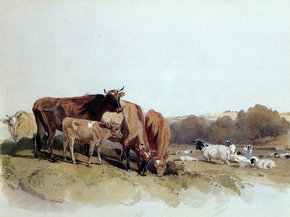 Victoria Cows, Guernsey 1846 art print by Frederick Keyl for $57.95 CAD